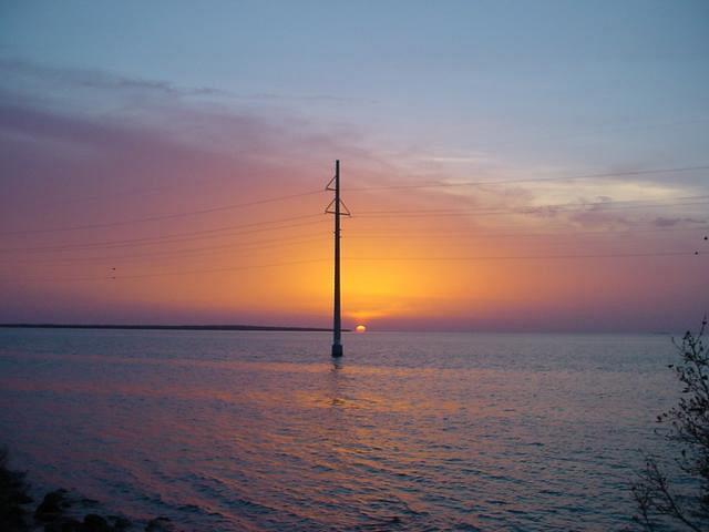 DSC01782