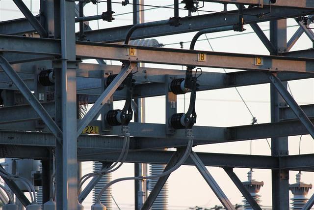 IMG 8403 (Large)