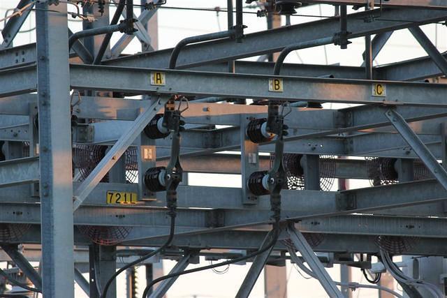 IMG 8404 (Large)