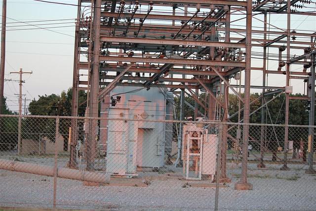 IMG 8421 (Large)