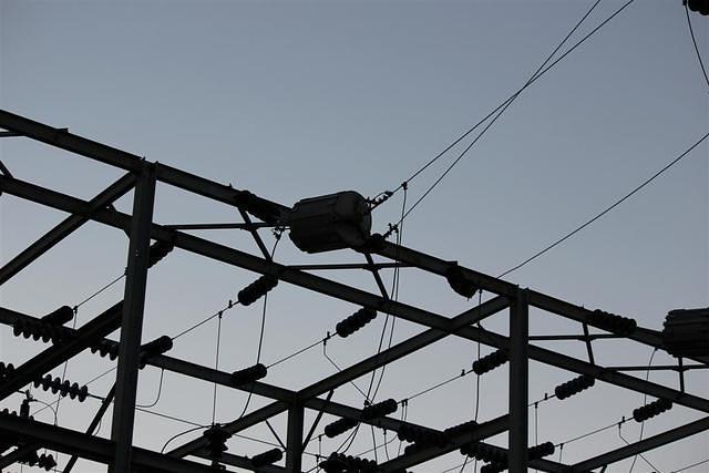IMG 8432 (Large)