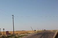 IMG_2995