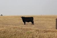 IMG_3064