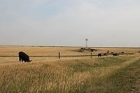 IMG_3065