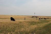 IMG_3066