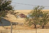 IMG_3068