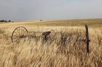 IMG_3080
