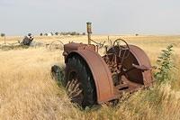 IMG_3081