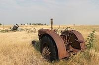 IMG_3082
