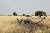 IMG_3089