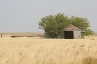 IMG_3091