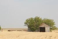 IMG_3092