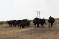 IMG_3117