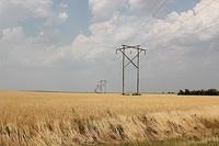 IMG_3121