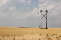 IMG_3123
