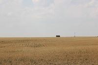 IMG_3124