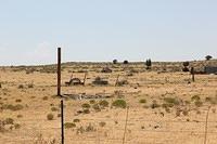 IMG_3198