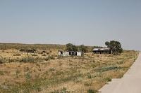 IMG_3206