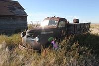 IMG_3899