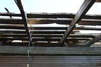 IMG_3961